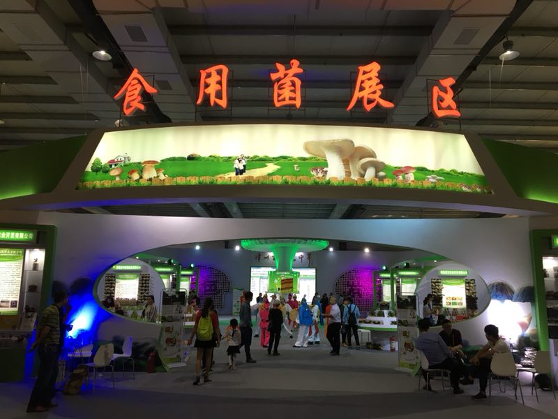南宫·NG(中国)电子游戏官网